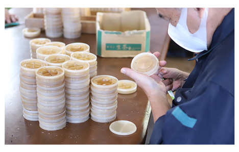 きのこの苗床の清掃